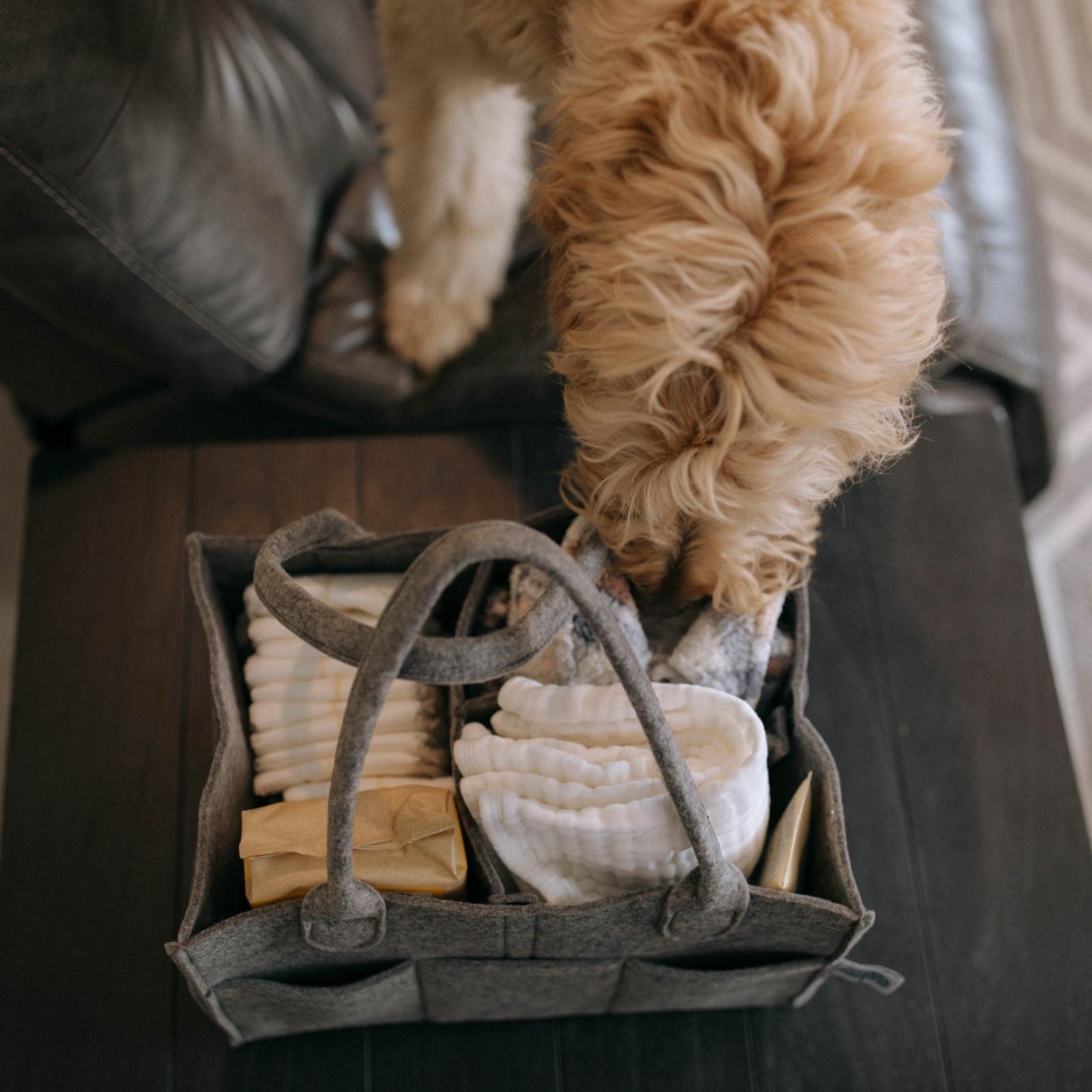 Felt Diaper Caddy Organizer | Portable Nursery Caddy Trusted by 14,000+ Moms